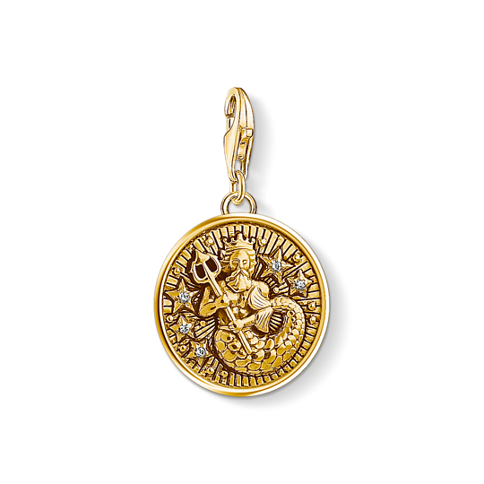 Thomas, Sabo, Anhänger, Charm-Club, Sternzeichen, Wassermann, 925, Sterling, Silber, Vergoldet, Gelbgold, Zirkonia, 1650-414-39, Zubehor, Gold, Anhänger, Schmuck, Medaillon