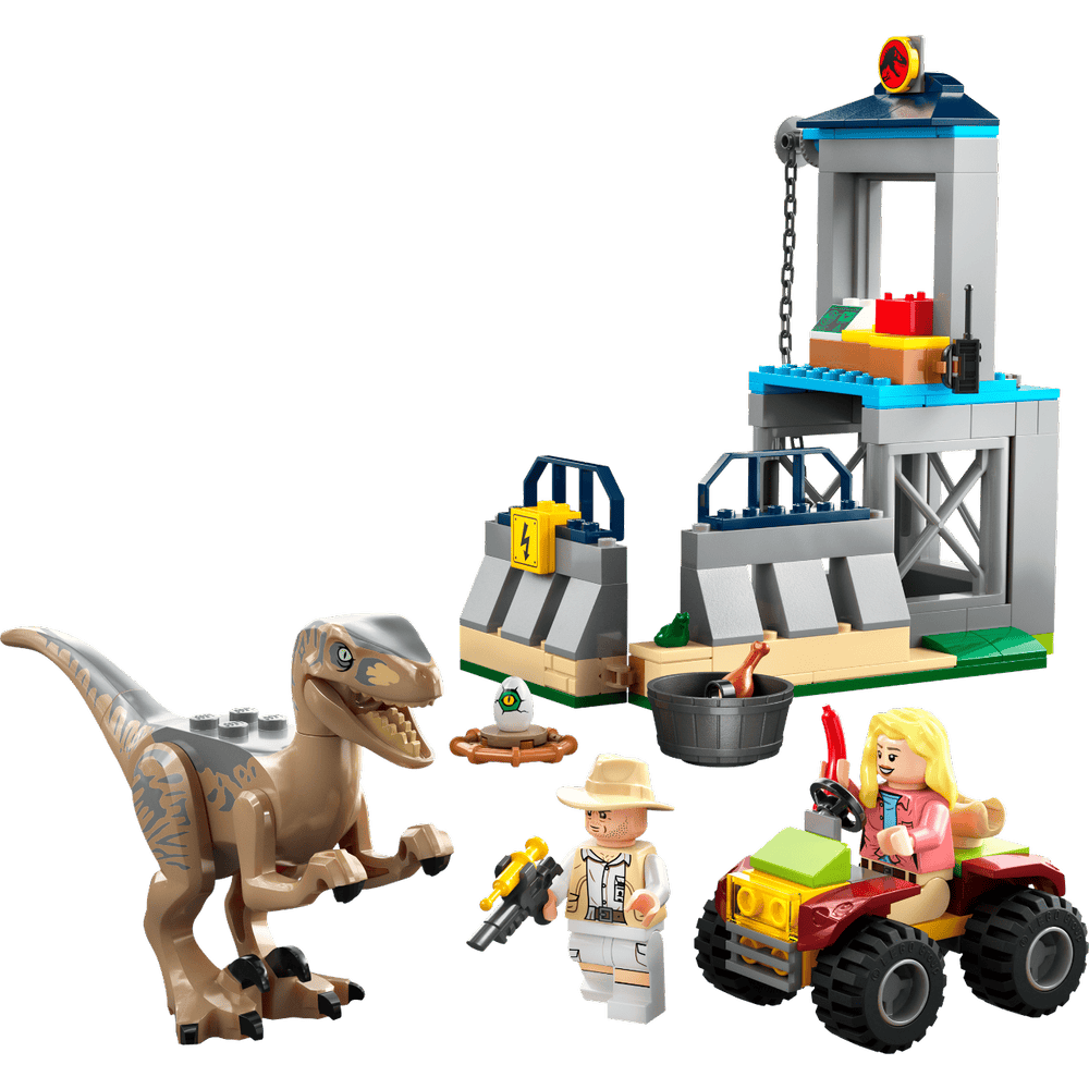 Dinosaurier, Reptil, Maschine, Rad, Person