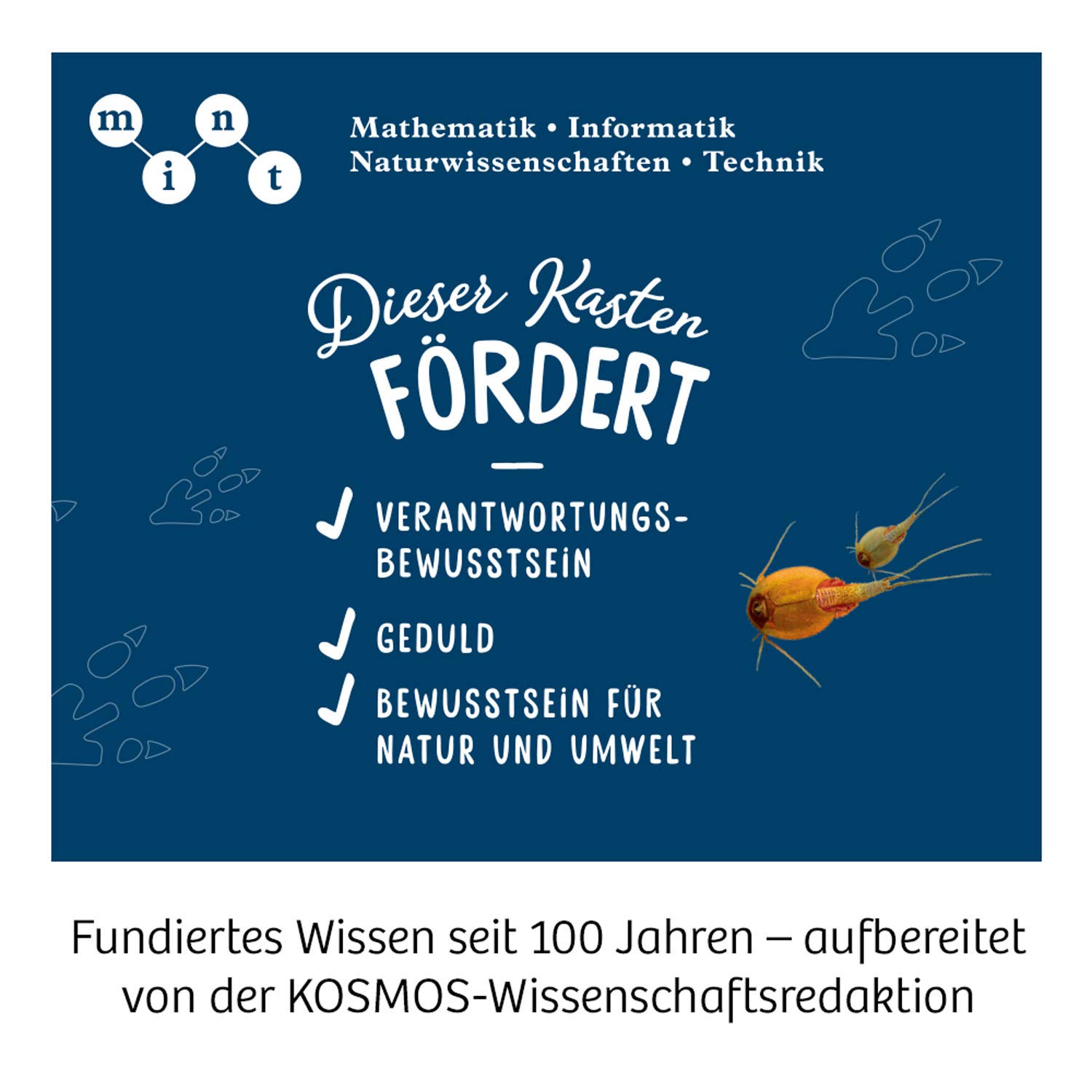 Werbung, Plakat, Insekt, Wirbellose, Leben im Meer
