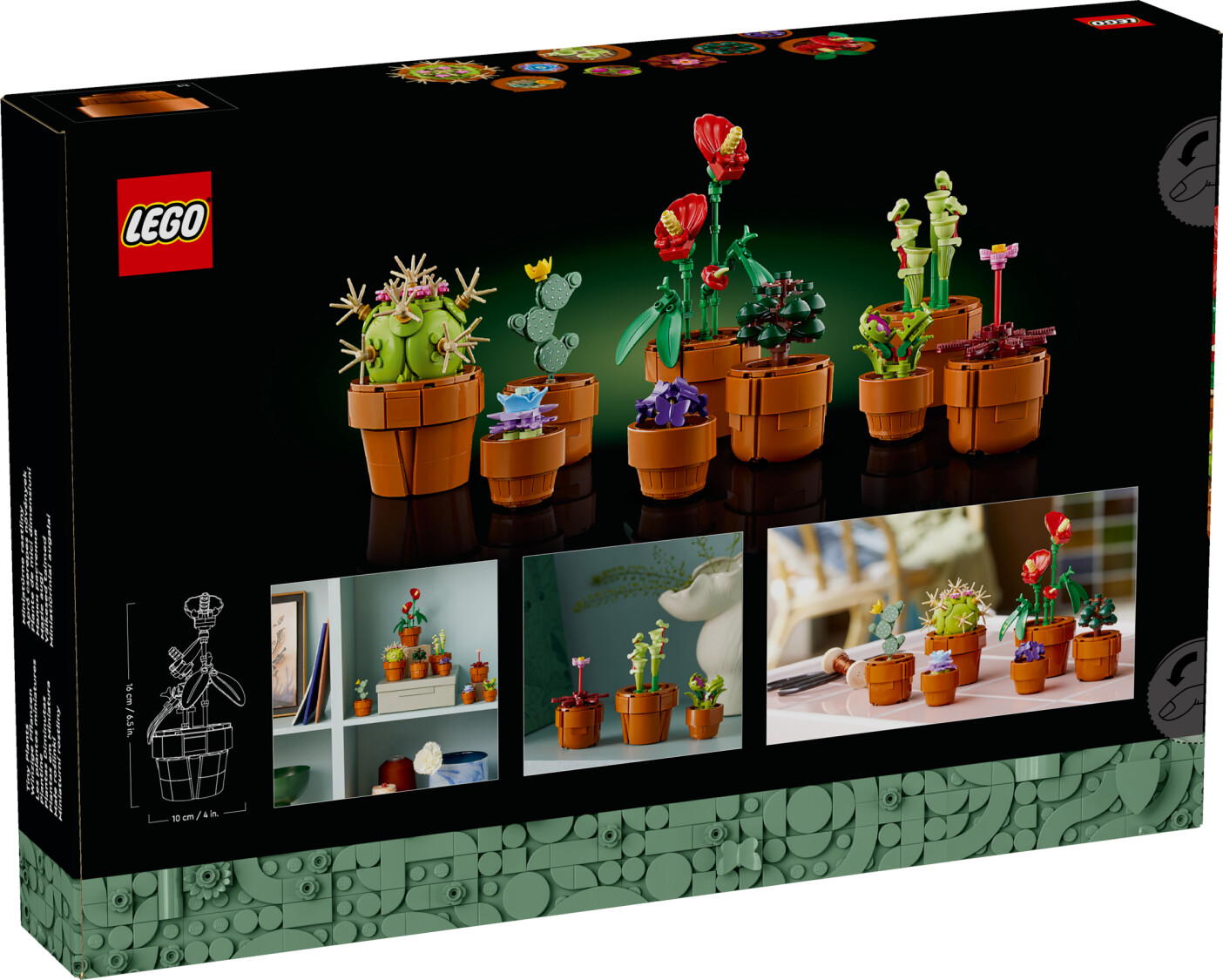 Pflanze, Pflanze im Topf, Blume, Blumen-Arrangement, Pflanzgefäß