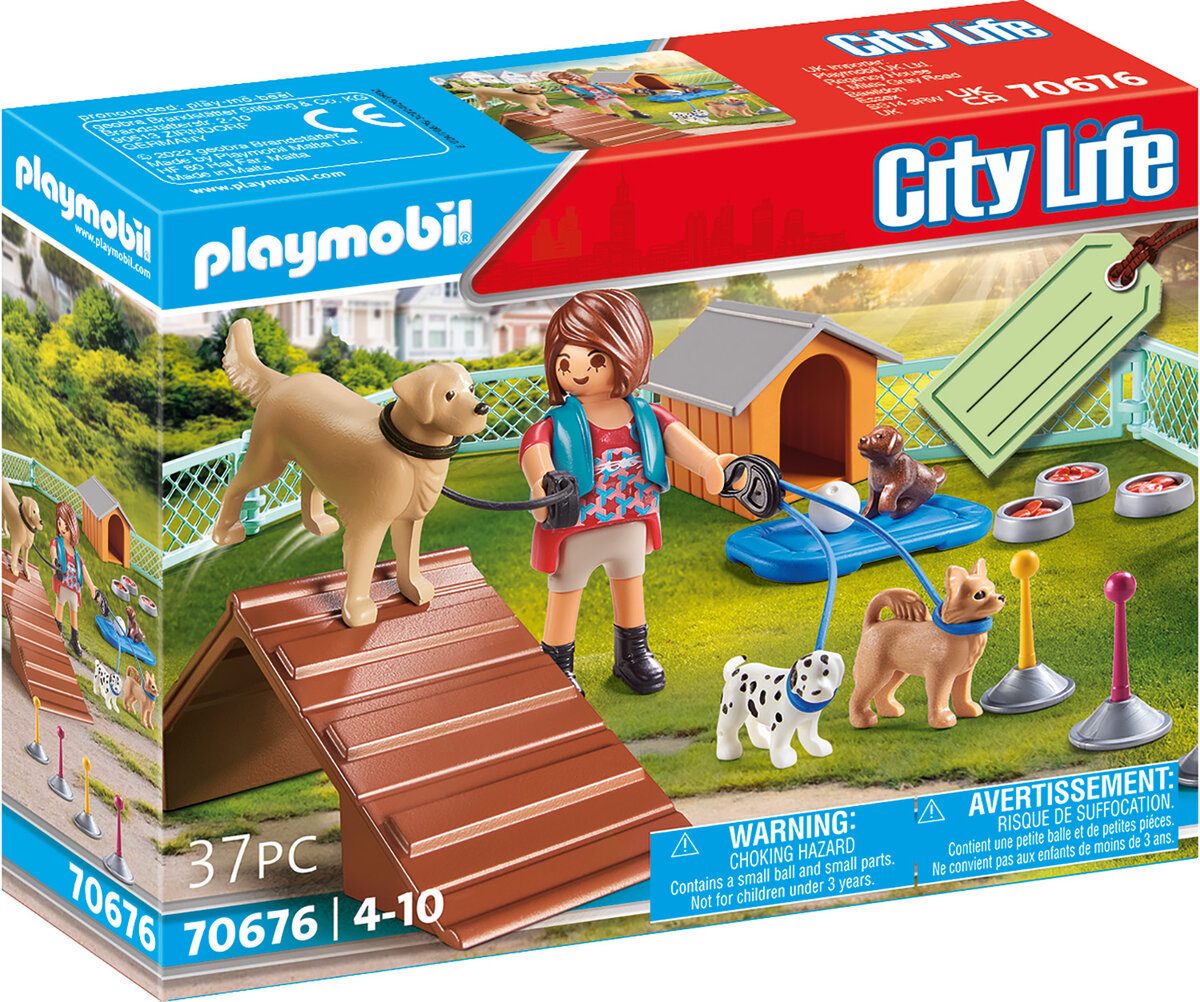 Hund, Person, Spielbereich, Spielzeug, Drinnen