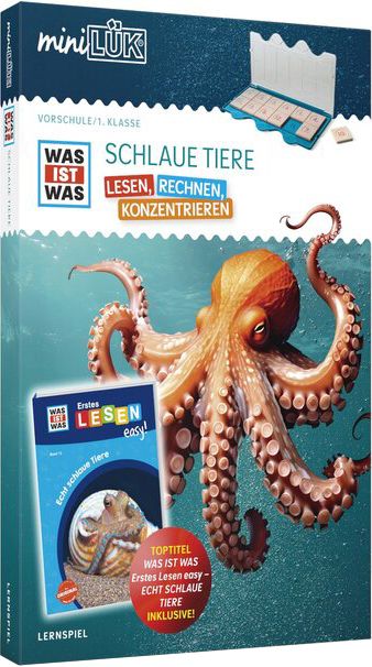 Tier, Leben im Meer, Wirbellose, Oktopus