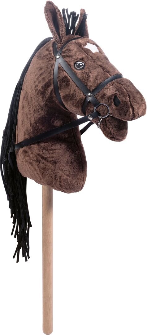 Tier, Pferd, Säugetier, Tier, Pferd, Säugetier, Tier, Pferd, Säugetier