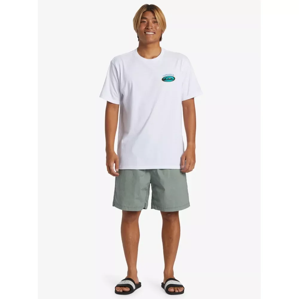 Quiksilver Taxer - Shorts Sea Spray GR. XL AQYWS03234-GLW0