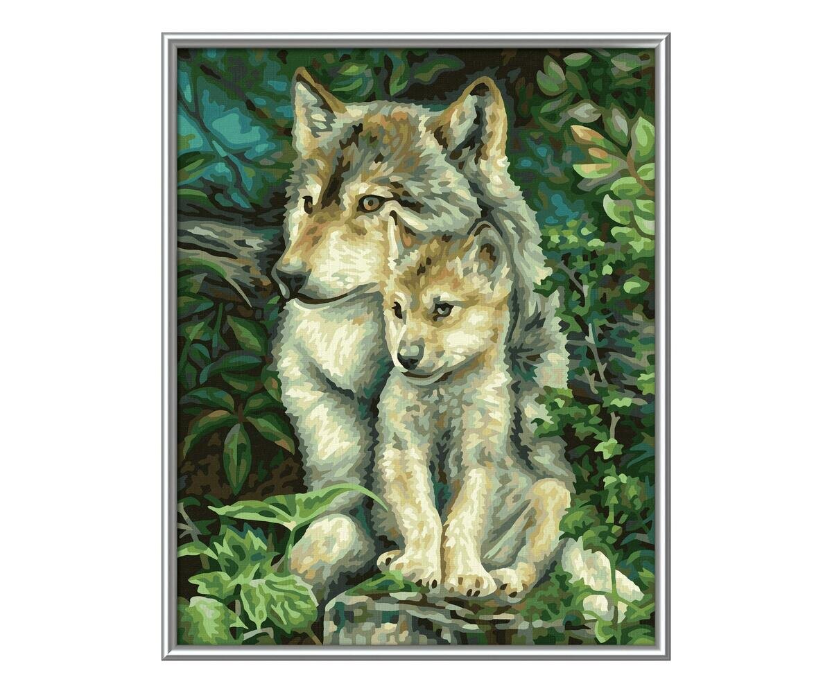 Löwe, Tierwelt, Wolf, Kojote, Roter Wolf