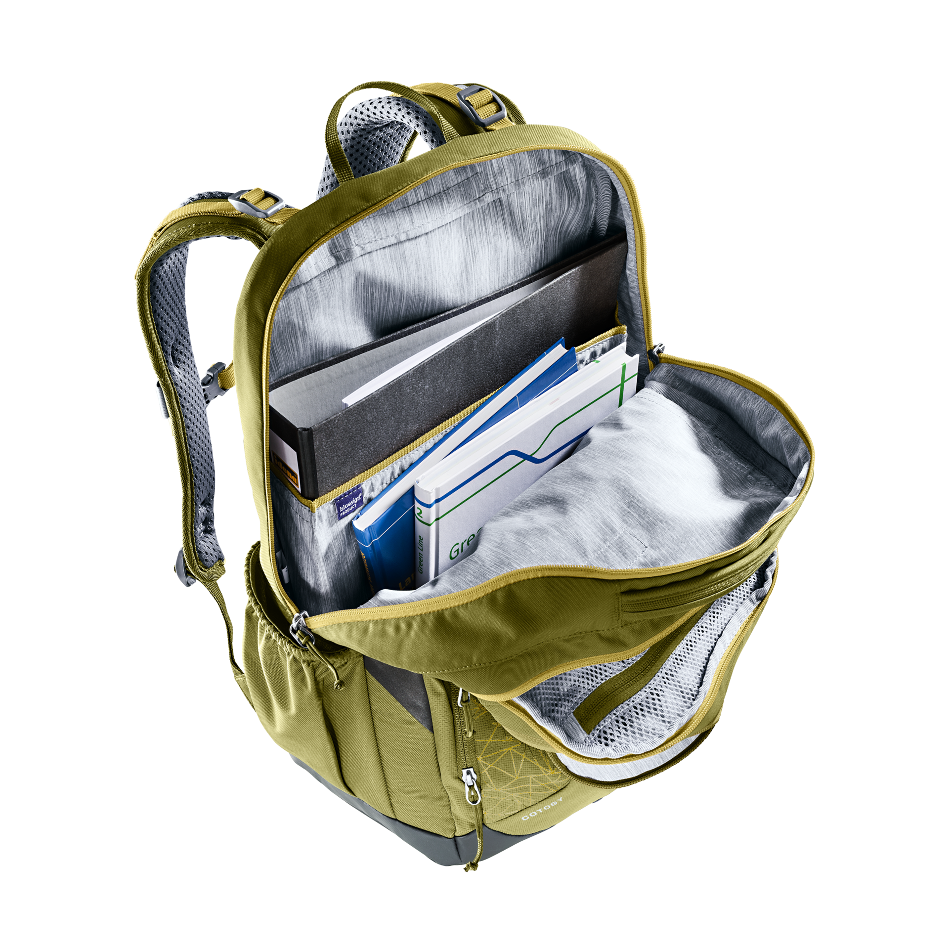 Deuter Cotogy Schulrucksack – Funktionalität und Komfort für den Schulalltag Grün