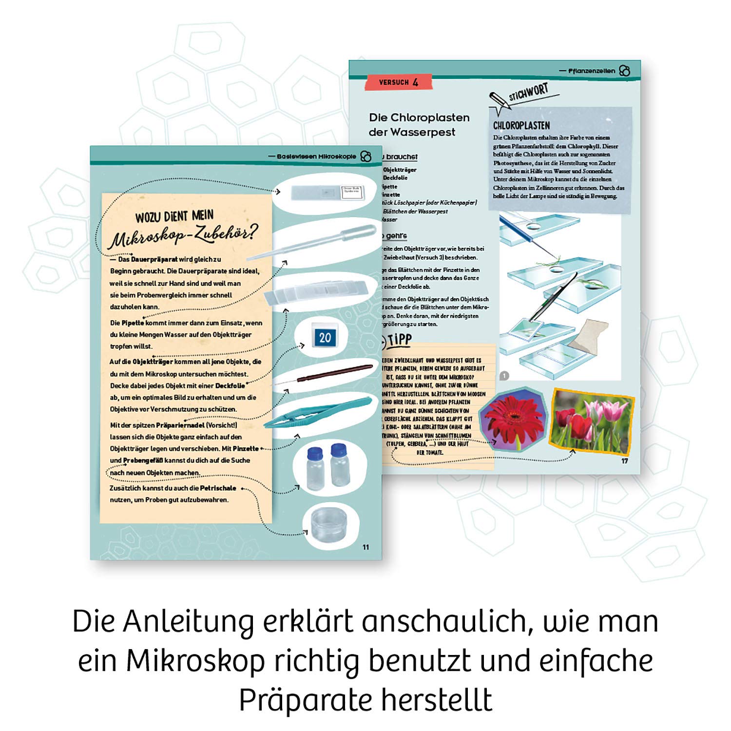 Werbung, Plakat, Seite, Text