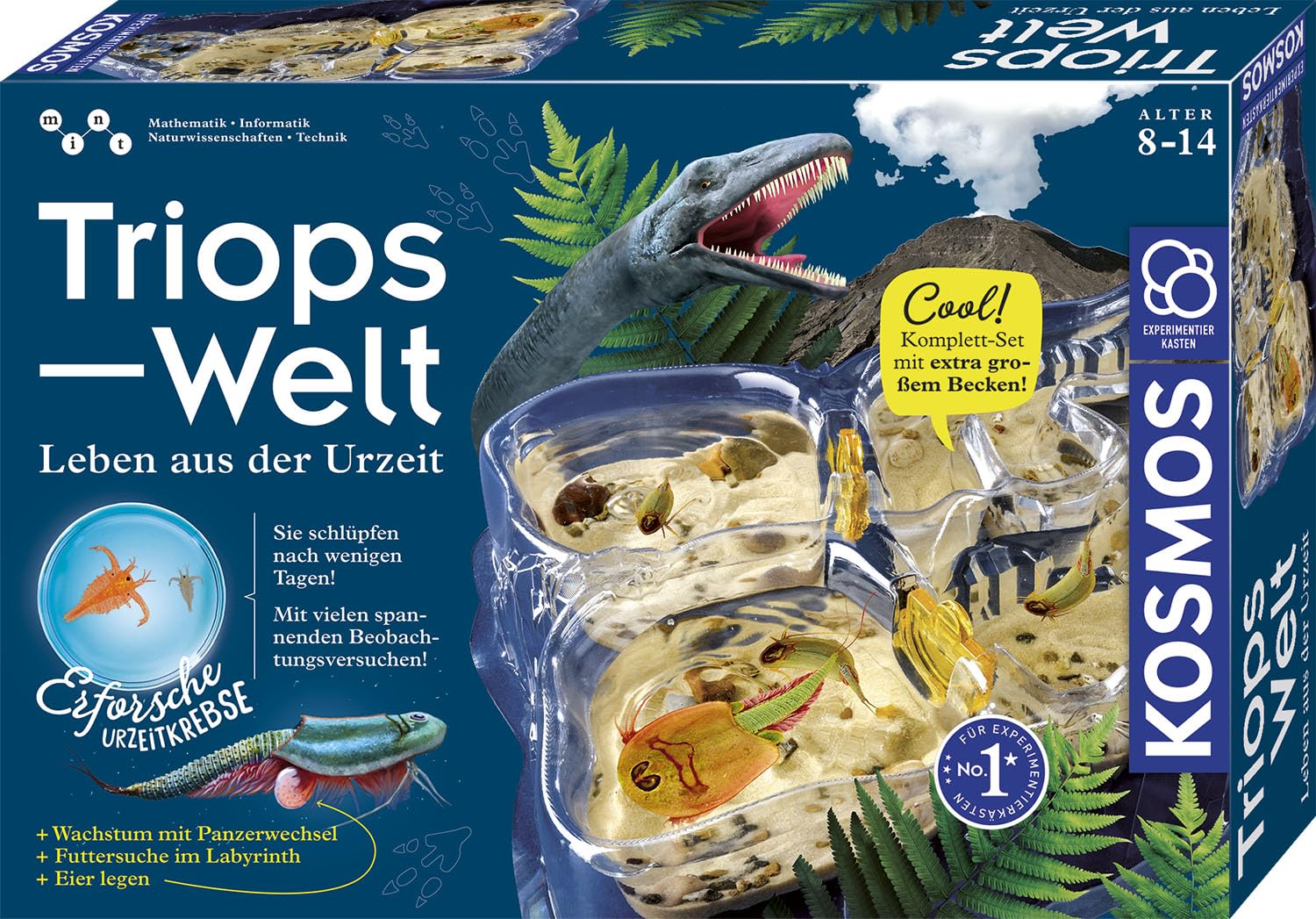 Tier, Dinosaurier, Reptil, Werbung, Plakat