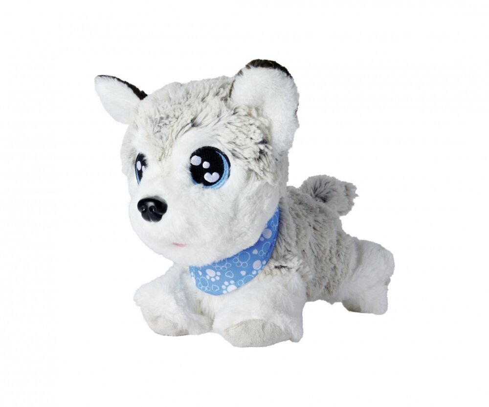 CCL_Happy_Husky_105890050
