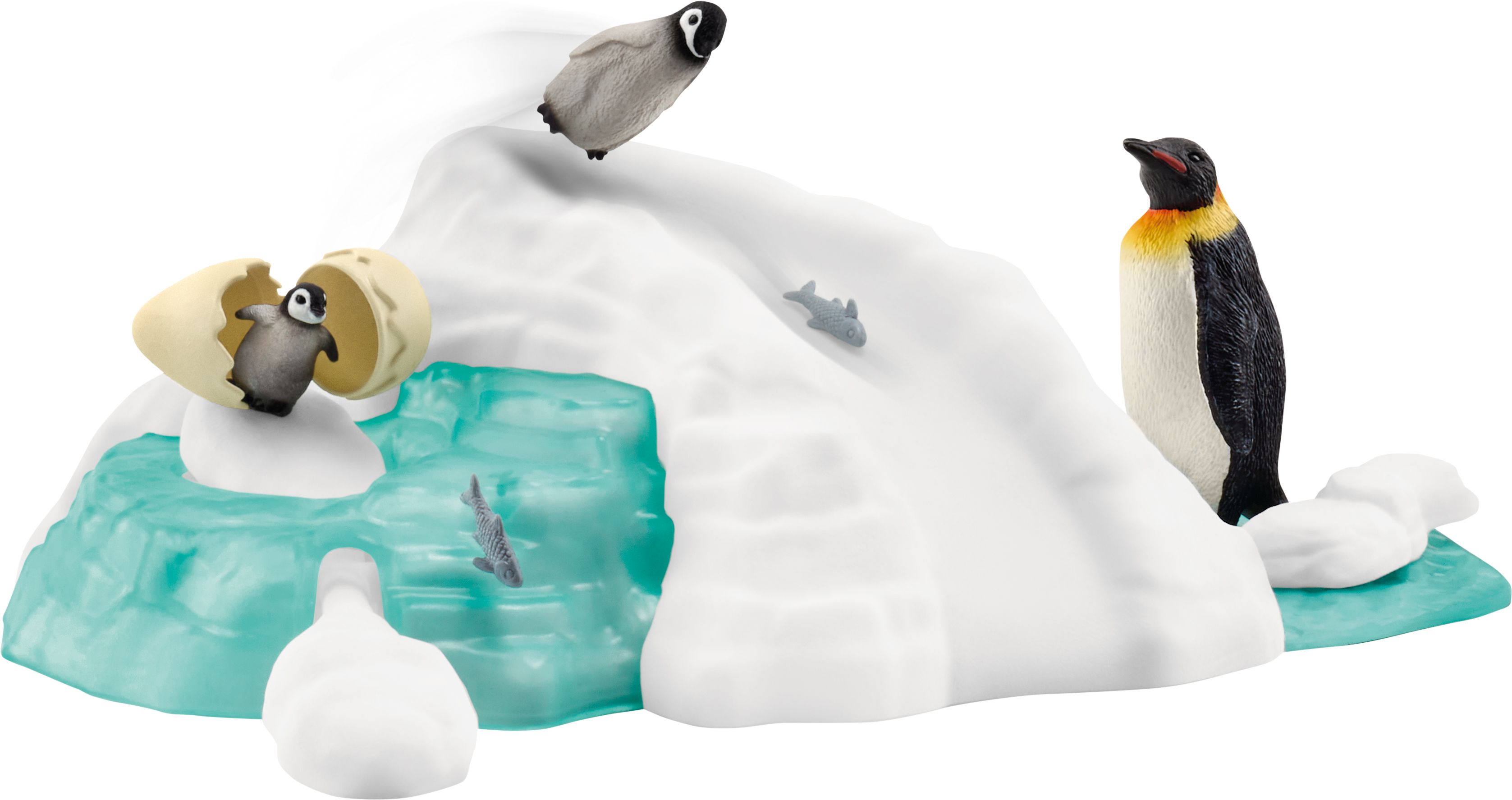 Vogel, Pinguin, Draußen, Eis, Natur