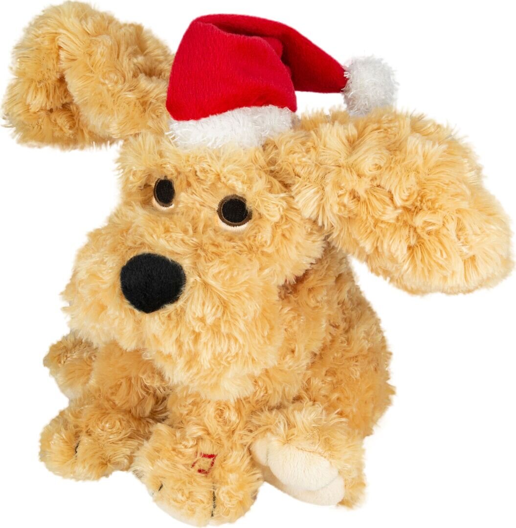 Plüsch, Spielzeug, Teddybär
