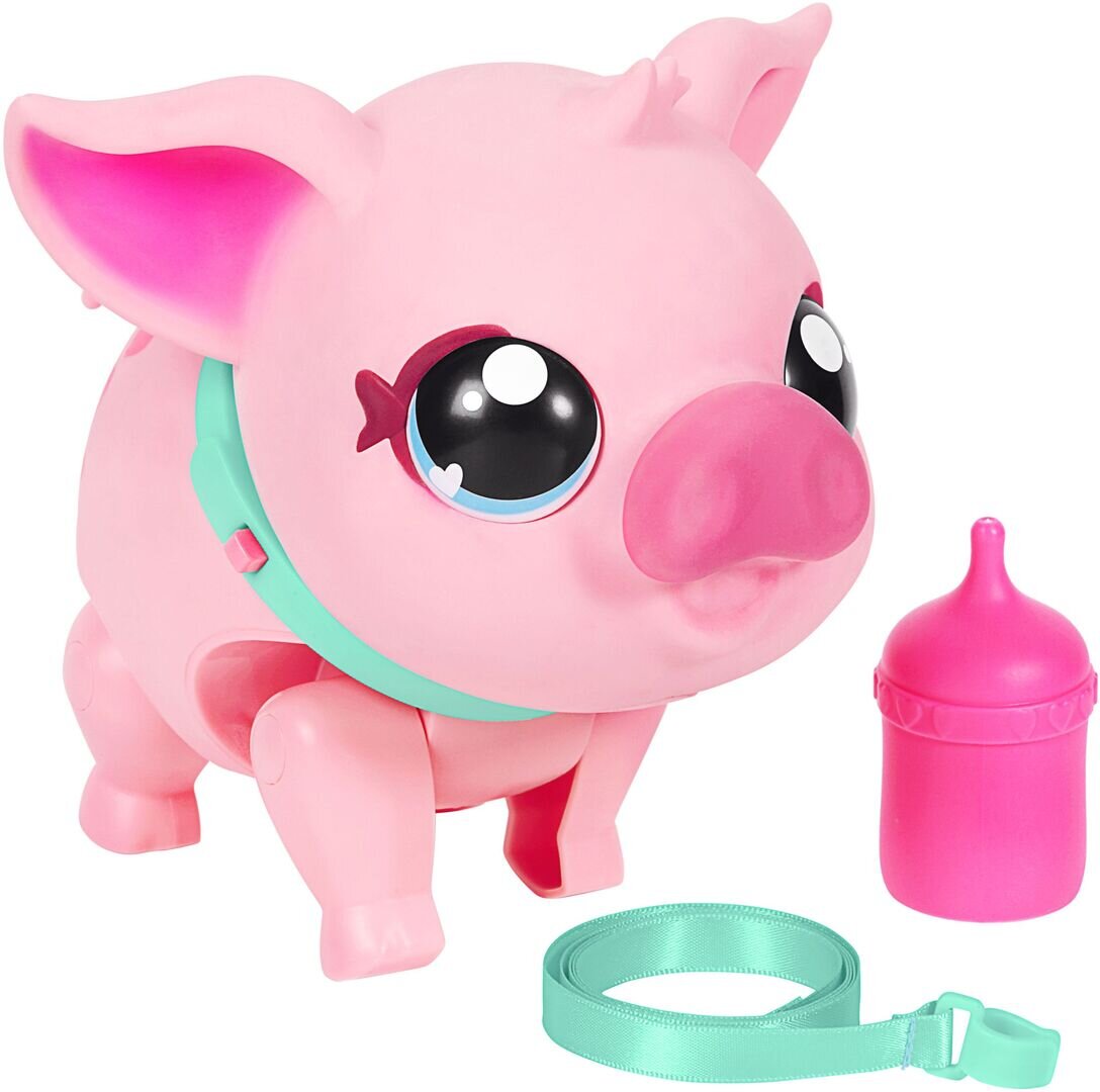Sparschwein, Sparschwein