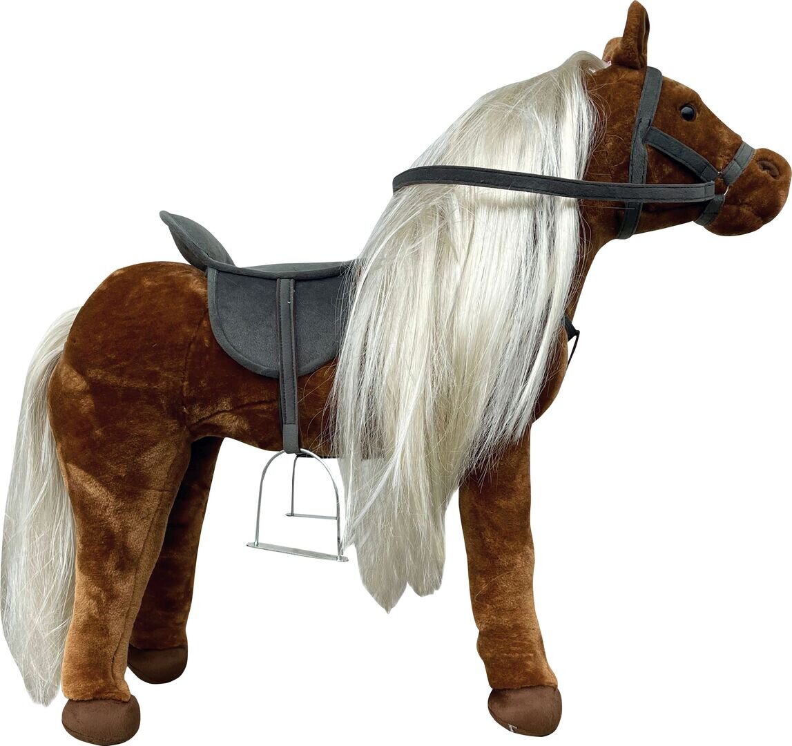Tier, Pferd, Säugetier, Tier, Pferd, Säugetier, Tier, Pferd, Säugetier, Tier, Pferd, Säugetier, Tier, Pferd, Säugetier