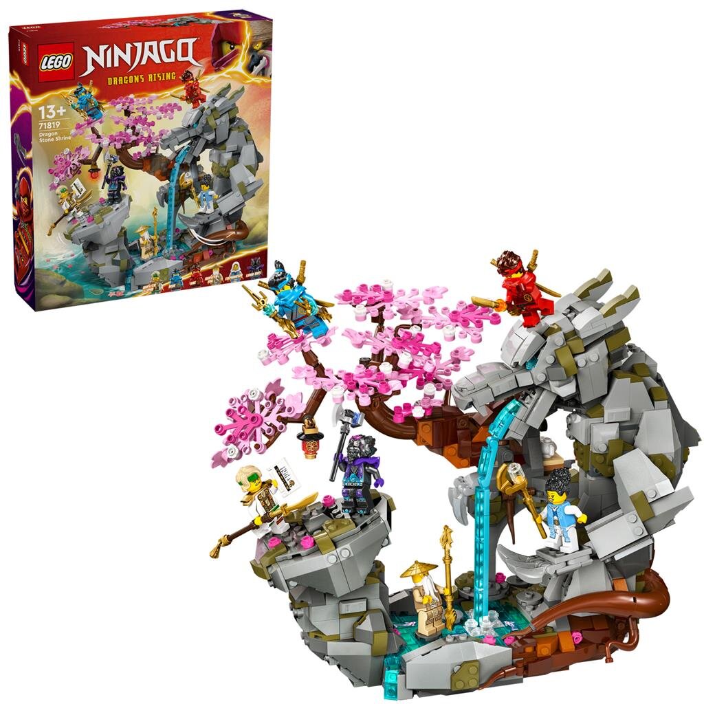 LEGO®_71819_Ninjago_Drachenstein-Tempel, Buch, Comics, Veröffentlichung