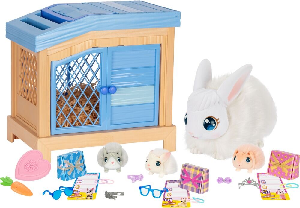 Spielzeug, Säugetier, Hase, Plüsch, Puppe, Spielzeug, Säugetier, Hase, Plüsch, Puppe