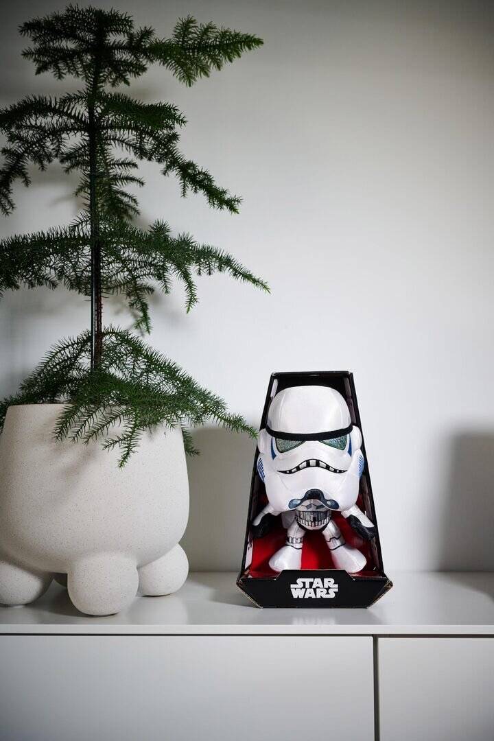 Pflanze, Baum, Tanne, Topfpflanze