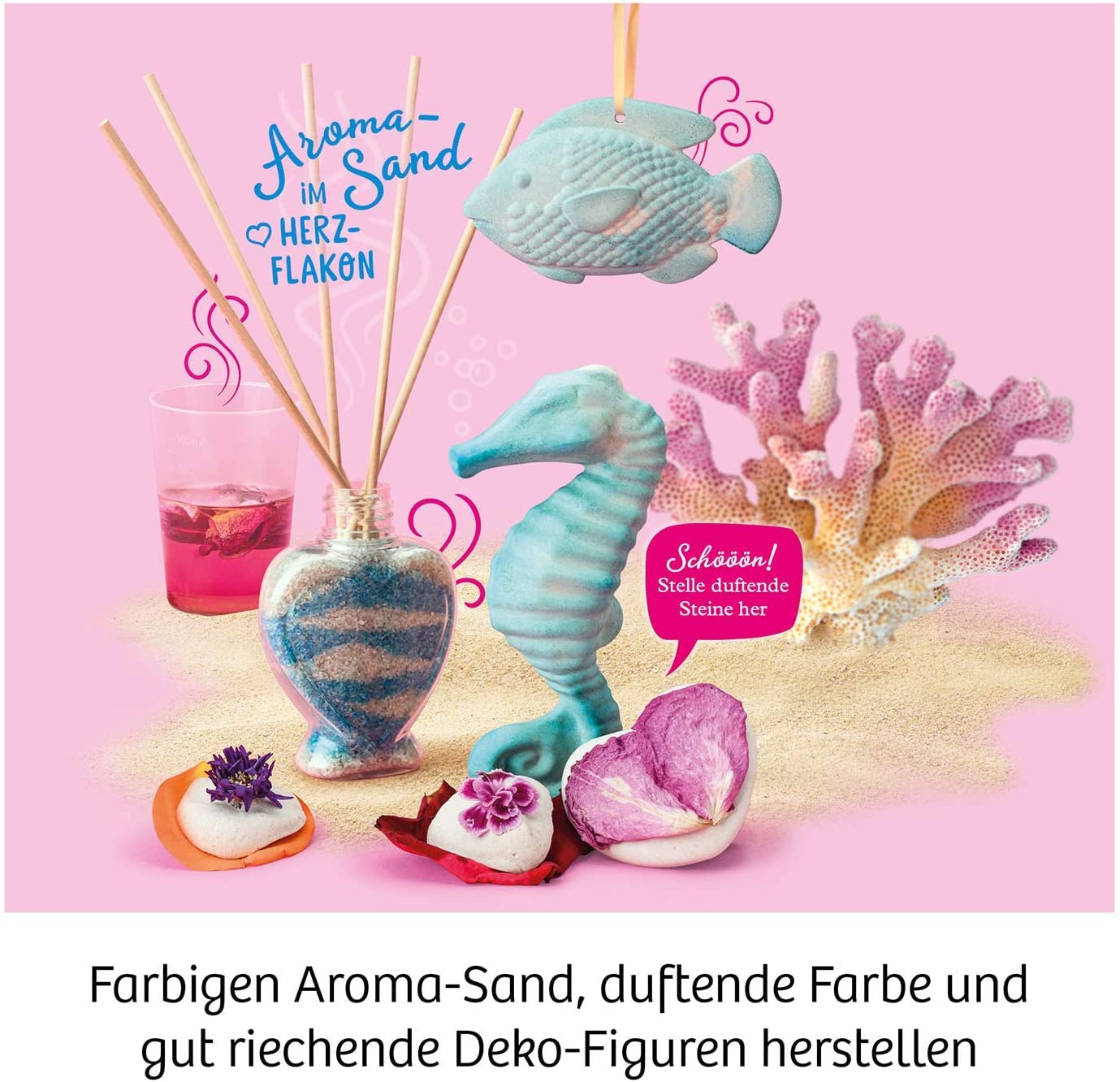 Leute, Person, Tier, Leben im Meer