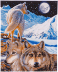 Crystal Art Der Wächter 40x50 cm