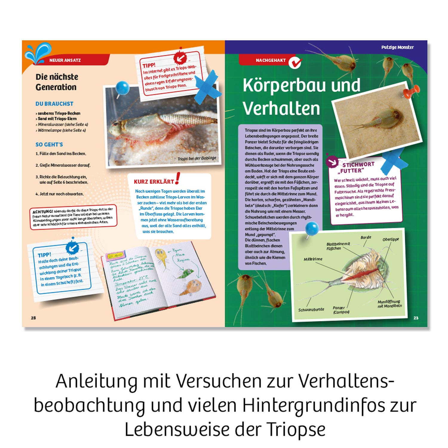 Werbung, Plakat