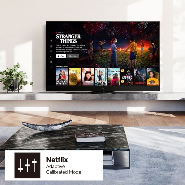 Netflix in Kino-Qualität genießen